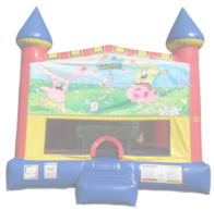 Water Slide Rentals